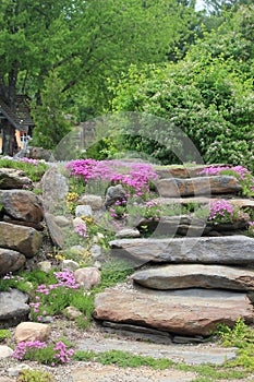 Stone stairs interspersed with pink phlox