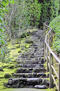 Stone Stairs at Japanese Garden