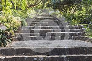 Stone stairs in Kirstenbosch botanical Garden, Cape Town