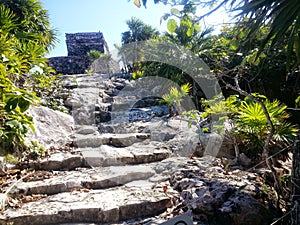 Stone Stairs Leading to Ancient Mayan Ruin photo