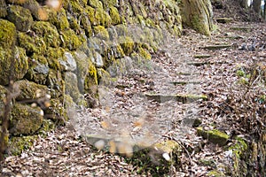 Stone stairs pathway in garden