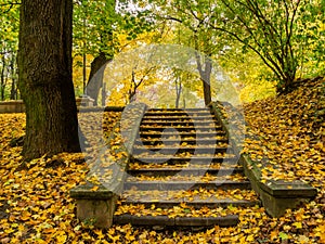 Stone stairs in the public park covered with yellow leaves, autumn. Warsaw, Poland