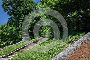 Stone stairs in a public park flanked by low dividing walls and green ground cover