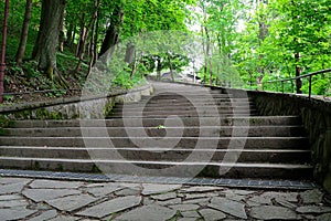 Stone staircase in the spring forest park