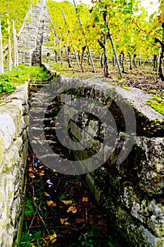 Stone stairs and stone wall with blurred autumn vines behind  2