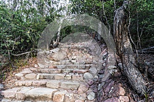 Stone stairs to Wineglass bay Lookout, Tasmania