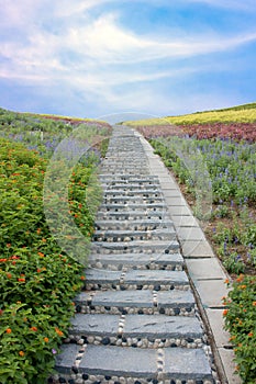 Stone stairway with flowers and blue sky