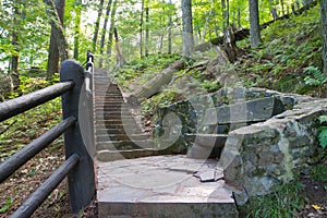 Stone Stairway in Forest