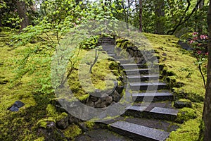 Stone stairway in a garden