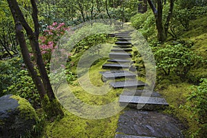 Stone stairway in a garden