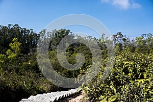 Stone stairway, stair, trail, footpath, country road, alley, lane in Hong Kong forest as background, Tsing Yi Nature Trails