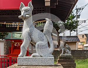 Stone statue of fox, or kitsune, at Nomachiinari shinto shrine in Kanazawa, Japan. photo