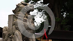 Stone statue guardian dog at Kanda shrine in Tokyo