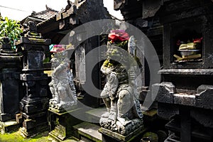 Stone Statue and sacrificial