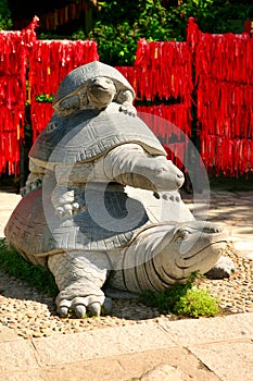 Stone statue of turtles in the Valley of Longevity. Nanshan Park.