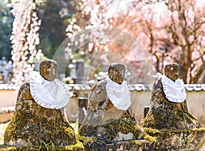 Stone statues of Jizo Bodhisattva wearing a baby bib in front of cherry blossoms.