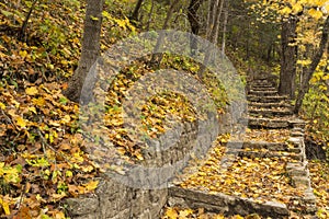Stone Step Trail In Breezy Autumn