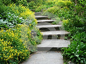 Stone steps