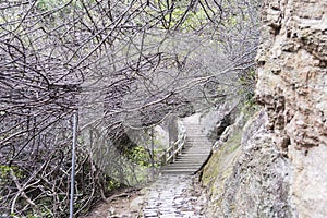 Stone steps