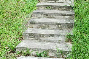 Stone steps in an area with abundant green grass during the rainy season