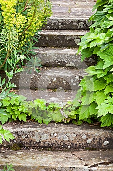 Stone steps ascending