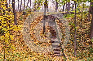 Stone steps in an autumn park strewn with yellow leaves