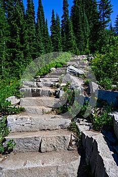 Stone steps at the beginning of hiking trail in Paradise area of Mt. Rainier National Park, WA