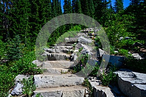 Stone steps at the beginning of hiking trail in Paradise area of Mt. Rainier National Park, WA