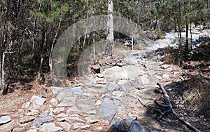 Stone steps in bushland manmade or place