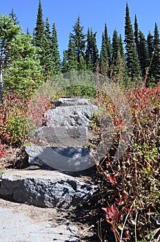 Stone steps in the countryside