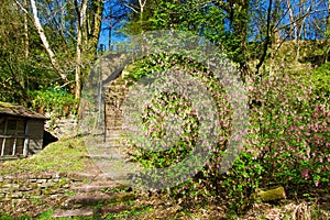 Stone steps in the countryside.