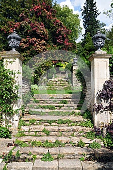 Stone Steps in a Formal Garden