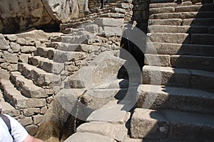 Stone steps and fountain