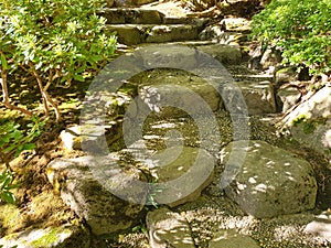 Stone steps in the garden photo