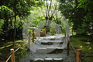 Stone steps in a garden