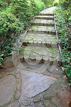 Stone steps in the garden photo