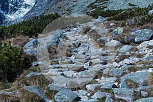 Stone steps among grass