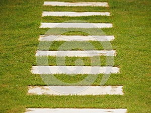 Stone steps on green grass