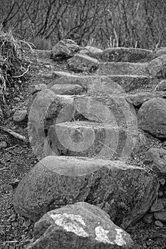 Stone Steps On Hiking Trail