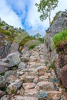 Stone steps of a hiking trail to the Preikestolen in Rogaland county.Norway