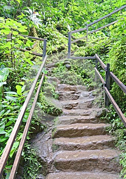 Stone steps