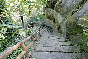 Stone steps in jungle, adobe rgb