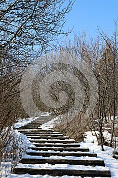 Stone steps leading to the sky, winter in the forest