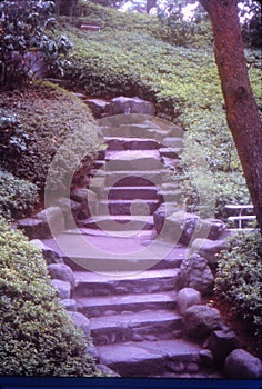 Stone steps leading up or down on slope of Japanese hill