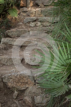 Stone steps in the middle of the park