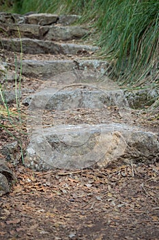 Stone steps in the middle of the park