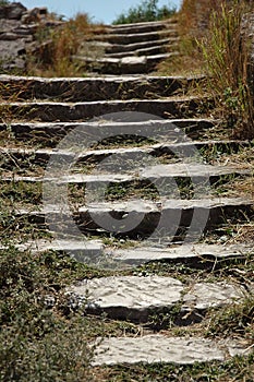 Stone steps overgrown with grass