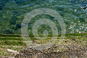 Stone steps overgrown with green algae descend into the clear water of the ocean, sea ??wave texture, unusual water background