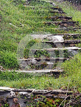 Stone Steps, Overgrown With Weeds