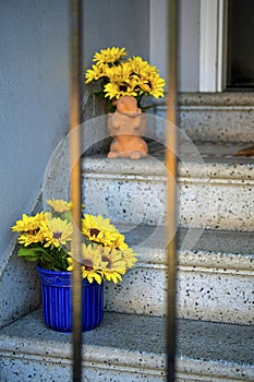Stone steps on stairway stoop with blue pot of sunflowerrs and bunny shaped vase near front door entrance of house or